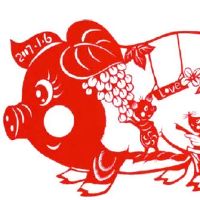 猪女孩怎么样？