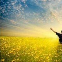 库存努力使大量十二生肖