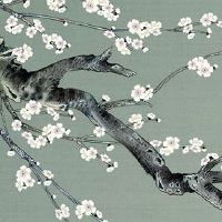 春节聚餐多 餐桌布置如何旺运招财喜迎年