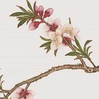 2022年正月初一是几月几号 春节拜年正当时