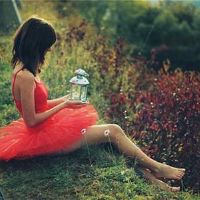 12个红星知道有多高