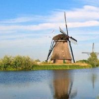 2022年出生姓氏的名称是什么？