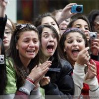 十二年十二宫的四个主要冠军