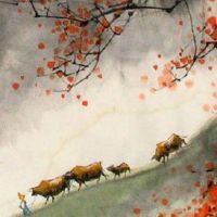 五行穿衣每日指南:2022年2月19日雨水穿什么颜色旺运