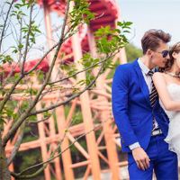 如何将12个星座女孩放到最终