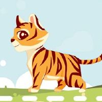 2022如何仔细地照顾小人物2022