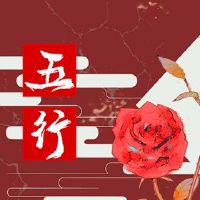 这个女孩害怕这个女孩的五行。