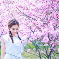 12个星座如何改善你的桃子