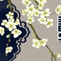 第一个月的第一个月的第一个月是什么？