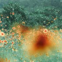 结婚的星座男性，感受不擅长表达，但它会用实际行动表达你的心。