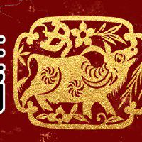 运势分析-2022生肖考试跑排名 学习努力人才奖金