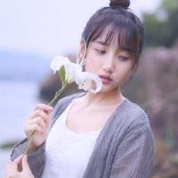 顽固，从不道歉