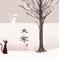 2022年，冷送冷的含义