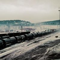 四个星座最多的判断，天蝎座智能，水瓶荷马