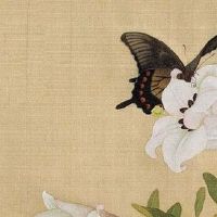 车牌号选了个120可以吗 最适配的车牌号码选择