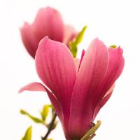 2019年3月12日出生的男孩的名字是什么？