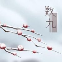 2022年的春节是前几天最初几天的第七天。