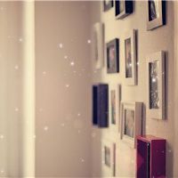 12个星座中的12个星座总是不知道如何拒绝