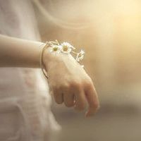 我在十二生肖中的一切