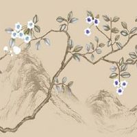 2022为什么叫虎百年 此命属福星一生富贵