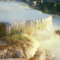 筹集巴西龟凤水的家庭说它很好