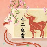 2022感觉好的黄道十二生肖是一种高质量的异性？