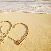 双二星级男性浪漫小电路