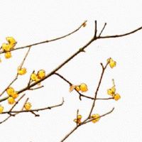 搬家先搬什么东西最好 扫帚搬家辞旧迎新