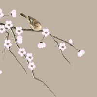 子午冲的人婚姻一定不好吗 子午相冲化解方法