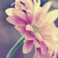 数：三个顶部星座