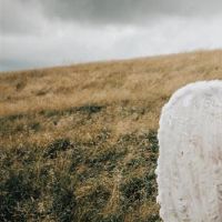 治疗理性的星座，知道如何沟通，会找到解决问题的方法