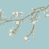 女人日时相冲有何影响 日时相冲的女人财运比较不好