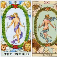 Wettaro世界（月亮）的启示