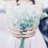 永远不知道如何在你面前珍惜十二生肖女孩