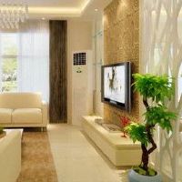 是房子里的小人物，不是一个好的水水吗？