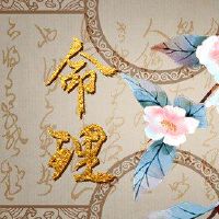 女人的大海生活财富正在常顺工作