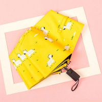 十二个星座的伞