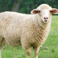 1991年，她是2022年的3022岁，每月花31岁。