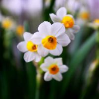 2019年12月29日的男孩如何出生，五个元素是什么？