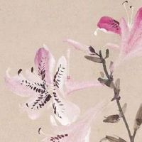 猴年哪些属相犯太岁 蛇劫煞凶星虎流年驿马入宫