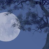 爱测试一个测试来衡量你的蓝色精致性，你有没有意识到你