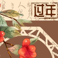 在春节的不同不同的不同不同的不同海关