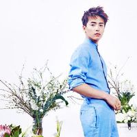 12个星座偶像可能是星座？