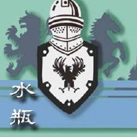 水瓶座应该如何在春节担任会议？