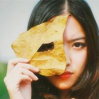 社会形状，面具只是这些星座的保护颜色