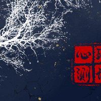 感情，当你爱的时候，你是对帮助你的。