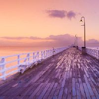 我习惯了生命的星座