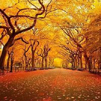 我非常昂贵的，生命是注定要火红色的星座