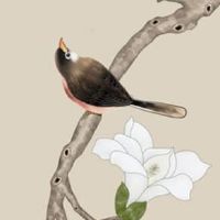 两个眼睛中间鼻梁上有痣 女人鼻梁有痣不善于沟通