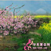 多长时间你的空窗只会想到